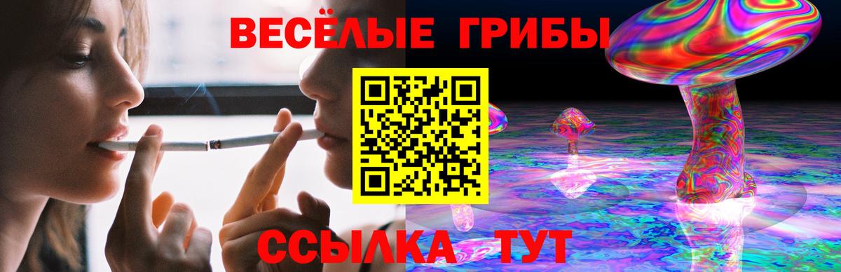 Галлюциногенные грибы Cubensis  Вход с VPN  Бахчисарай 